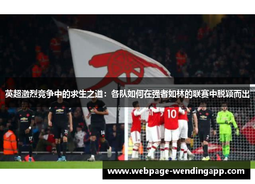 英超激烈竞争中的求生之道:各队如何在强者如林的联赛中脱颖而出 英超激烈竞争中的求生之道:各队如何在强者如林的联赛中脱颖而出
