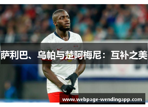 萨利巴、乌帕与楚阿梅尼:互补之美 萨利巴、乌帕与楚阿梅尼:互补之美