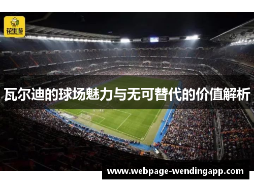 瓦尔迪的球场魅力与无可替代的价值解析 瓦尔迪的球场魅力与无可替代的价值解析