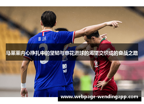 马莱莱内心挣扎中的坚韧与申花进球的渴望交织成的奋战之路