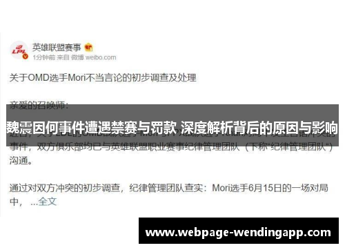 魏震因何事件遭遇禁赛与罚款 深度解析背后的原因与影响